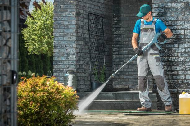 Best Animal Enclosure Cleaning  in Grayvle, IL